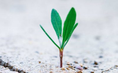 Catalyst Property Finance reports 450% year-on-year growth