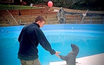 Josh Hawker, property finance broker keeper training a seal at a zoo
